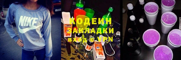 индика Мегион