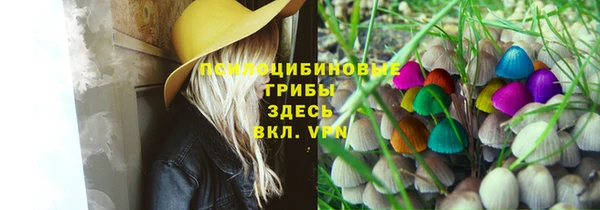 индика Мегион