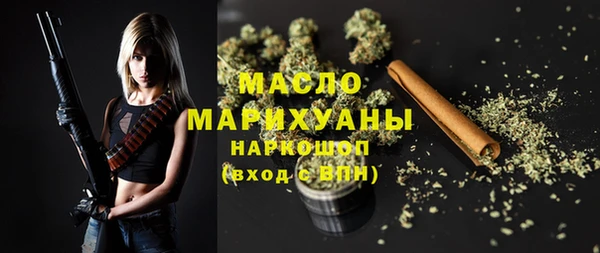 индика Мегион