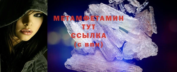 индика Мегион