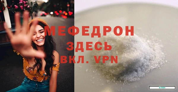 шишки Медвежьегорск