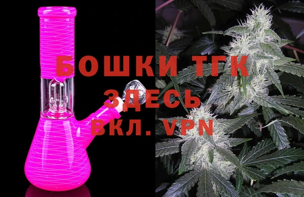 шишки Медвежьегорск