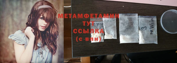 шишки Медвежьегорск
