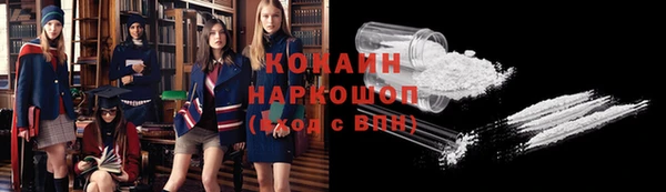 индика Мегион