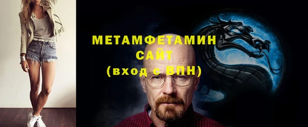 индика Мегион