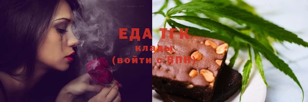 индика Мегион