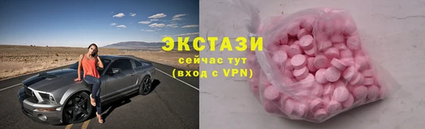 индика Мегион