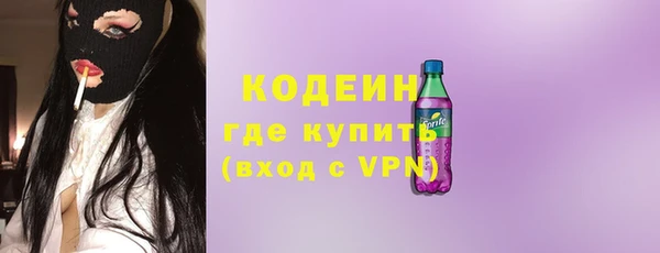 индика Мегион