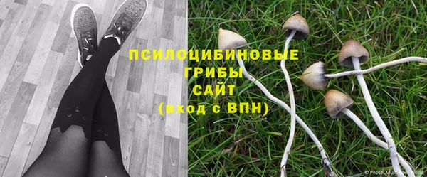 индика Мегион