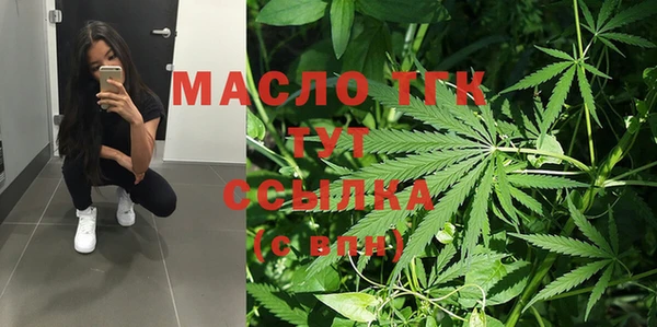 шишки Медвежьегорск