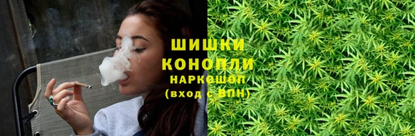 индика Мегион