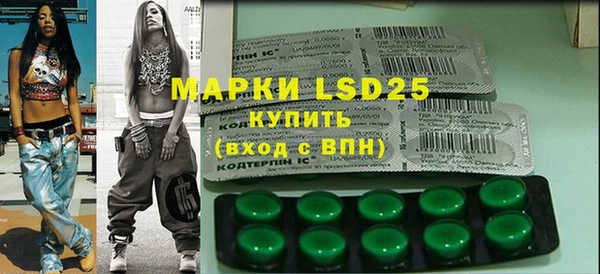 индика Мегион