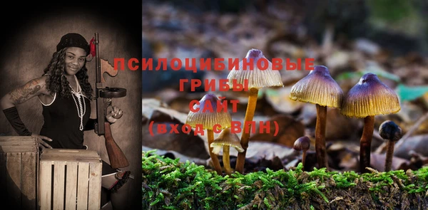 винт Медногорск