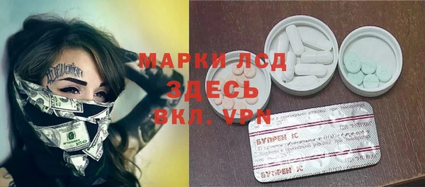индика Мегион