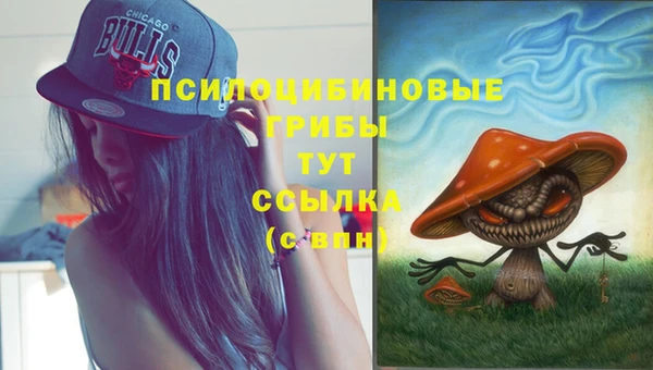 шишки Медвежьегорск