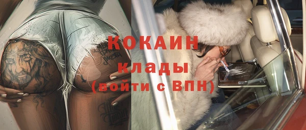 индика Мегион