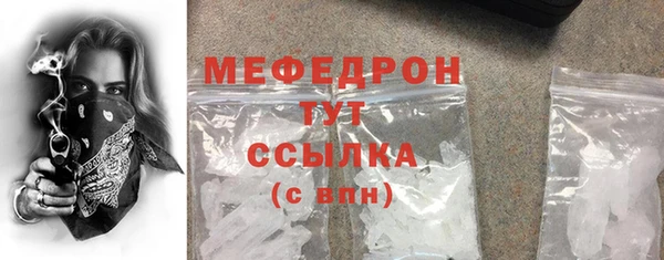 шишки Медвежьегорск