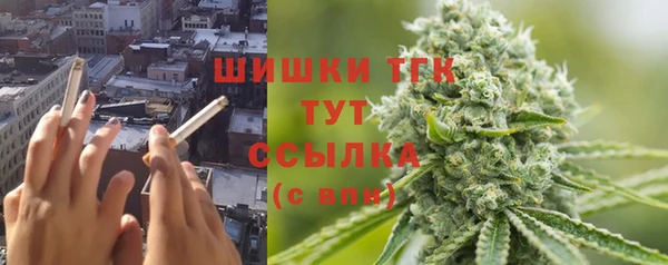 шишки Медвежьегорск