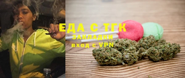 индика Мегион