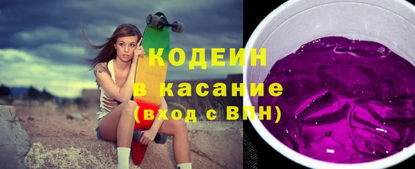 шишки Медвежьегорск