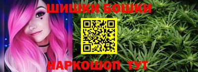 стаф Заводоуковск