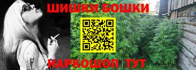 стаф Заводоуковск