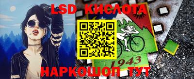 стаф Кандалакша