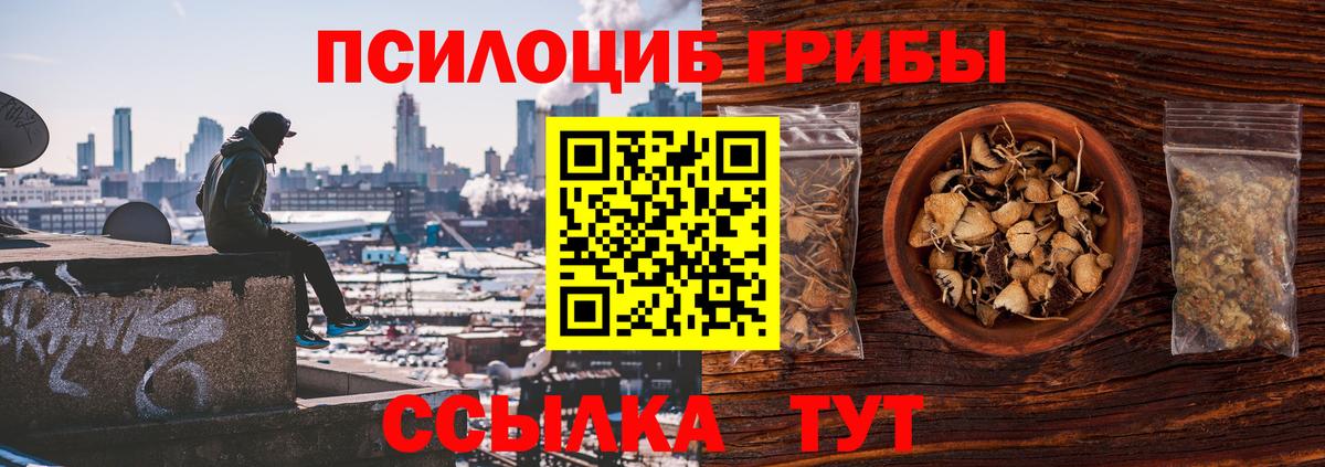 Псилоцибиновые грибы прущие грибы  Урус-Мартан  Псилоцибиновые грибы мухоморы 