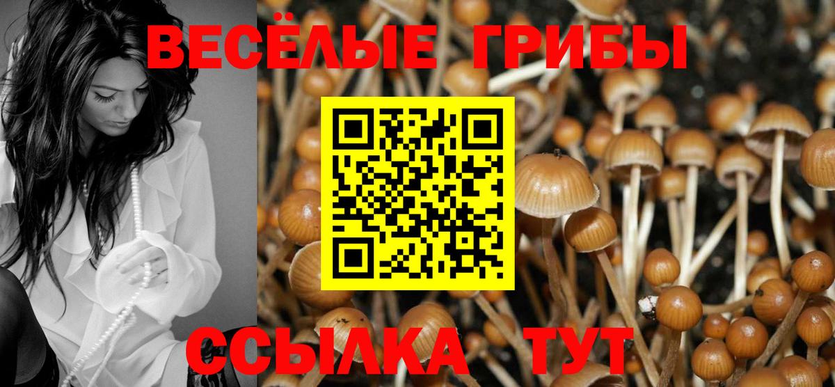 где купить   Вход с VPN  Урус-Мартан  Псилоцибиновые грибы Magic Shrooms 