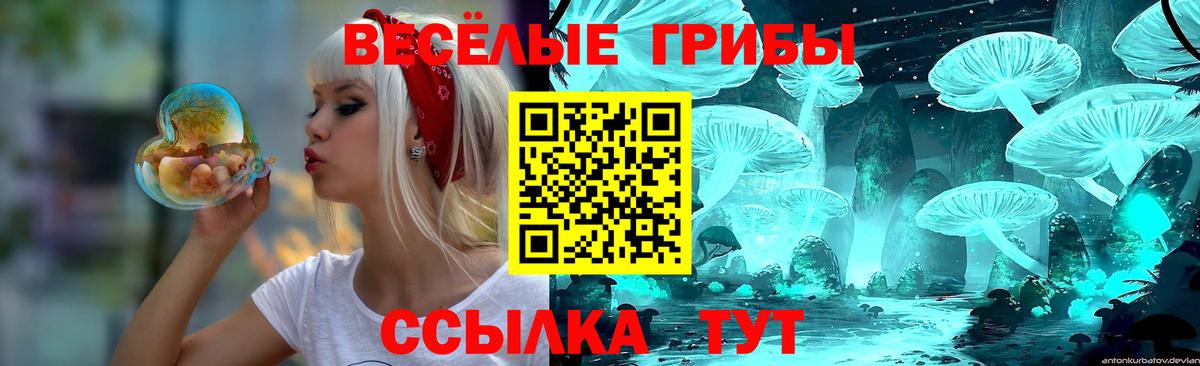 APVP СК   Урус-Мартан  МЕТАДОН  Меф   Конопля  Меф кристаллы  Марихуана  ГАШИШ 